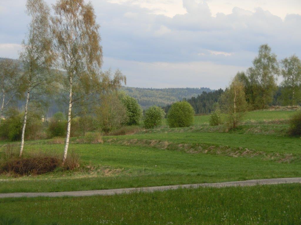 Pension Fohlenhof フラウエナウ エクステリア 写真
