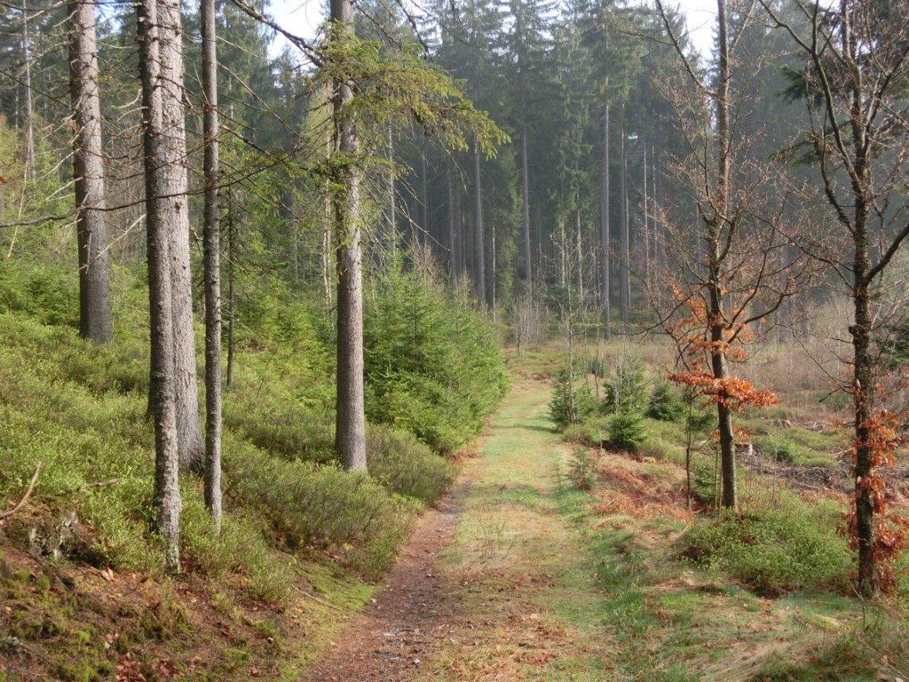 Pension Fohlenhof フラウエナウ エクステリア 写真