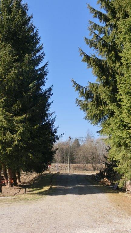 Pension Fohlenhof フラウエナウ エクステリア 写真